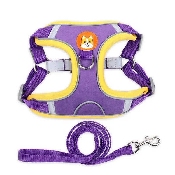 Pet Harness Small Dog With Leash Set photo-4
