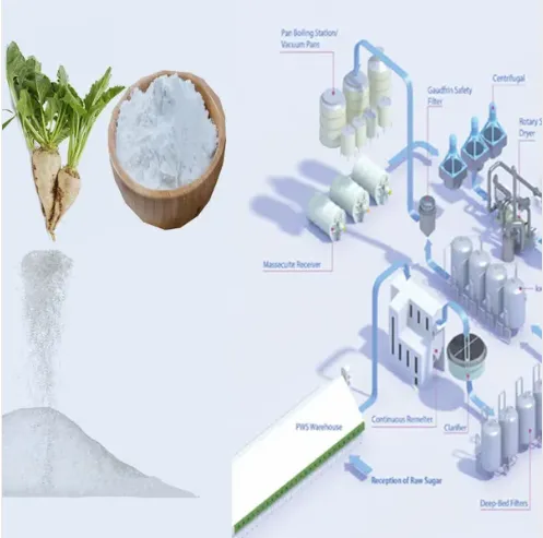 Beet Sugar Processing Line photo-5