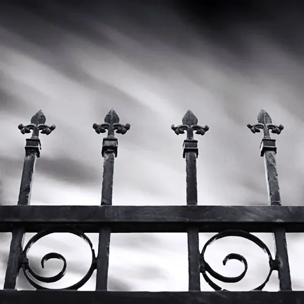 Galvanized Wrought Iron Ornamental Fencing for Garden Decoration and Metal Edging photo-2