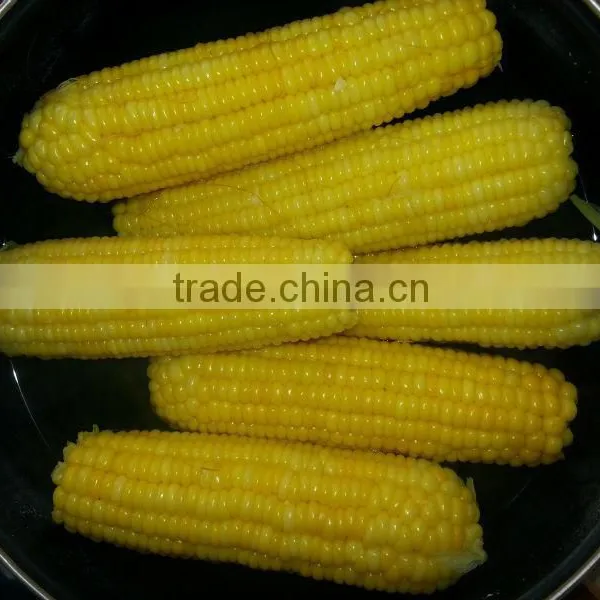 IQF Sweet Corn Cut With Best Quality photo-2