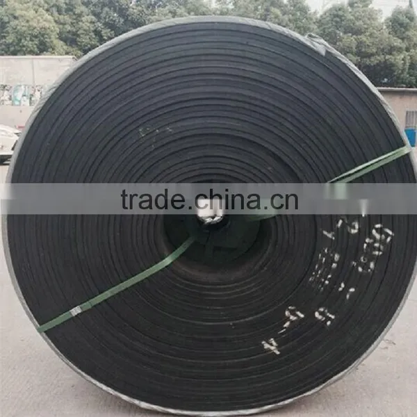 Popular Promotional Industrial Conveyor Belt Price Products Made in Asia photo-6