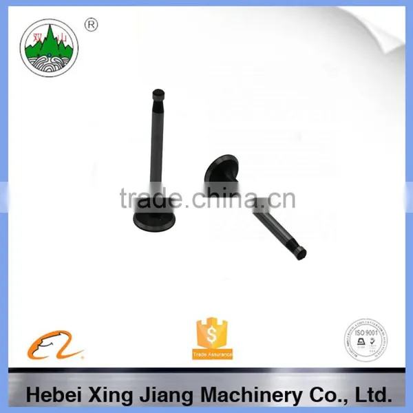 Compress Engine Valve, Generator Valve Assemble,Z170F Diesel Engine Valve Assembly