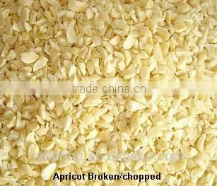 Blanched Bitter Apricot Kernels photo-4