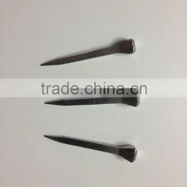 Chinese 100% Factory Direct Wholesales Steel Horse Shoe Nails photo-3