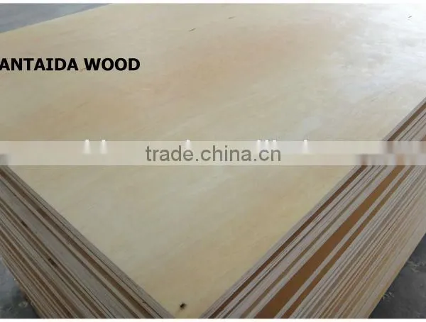 China birch plywood