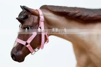 Customized Design Your Own Horse Halter photo-2