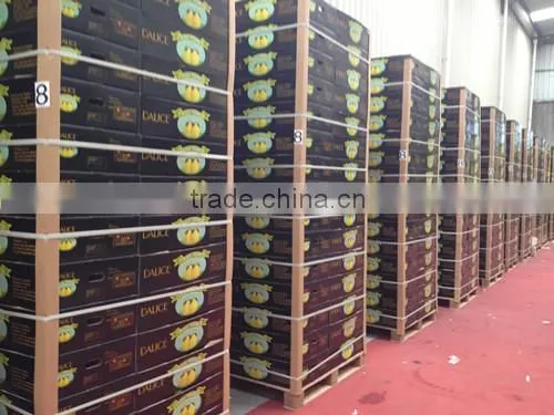 Pomelo From China photo-5