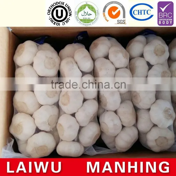 Red Fresh Garlic Supplier photo-4