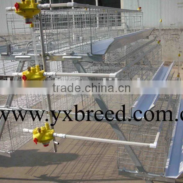 Poultry Layer Cage for Chicken