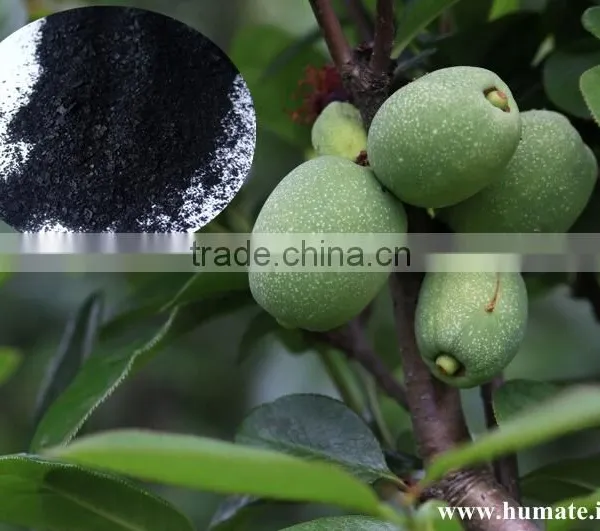 Kinds of Agriculture Fertilizer Potassium Humate 70% photo-2