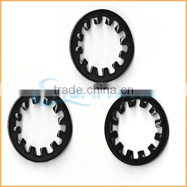 China Professional Manufacturing Zinc Plated External Tooth-lock Washers photo-5