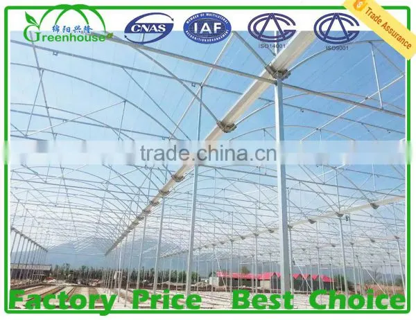 Agriculture Farming/ Greenhouse photo-2