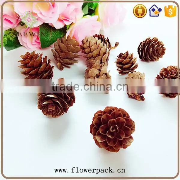 Pine Nuts Series of Natural Flowered Bark Engraving photo-5