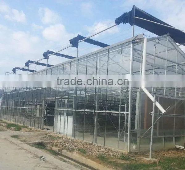 Nutrient Film Hydroponics System Greenhouse photo-2