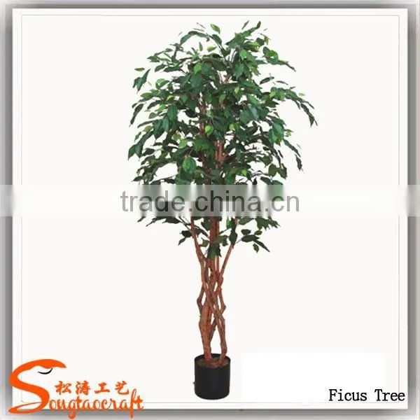 Guangzhou Supplier Artificial Ficus Tree Home Decoration Artificial Ficus Tree photo-4