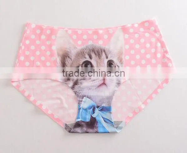 2017 Manufacturer Customized Your Own Brand Design Funny Cute 3D Print 95%Modal 5%Spandex Private Label Women Underwear photo-6