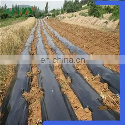 China Factory Pla Biodegradable Material for Good Using photo-3