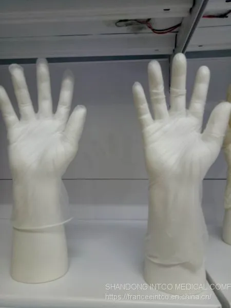 Laboratory Usage Vinyl Glove photo-3