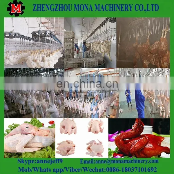 Poultry Slaughtering Equipment/poultry Slaughter Line photo-6