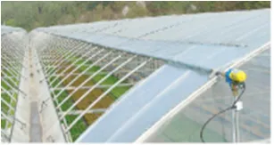 Roof Opening Plastic Film Greenhouse for Agriculture