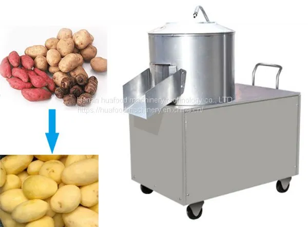 High Efficiency Small Potato Ginger Peeler Machine photo-3