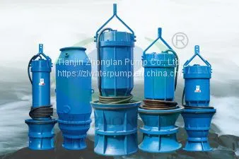 Submersible Axial-flow Pump