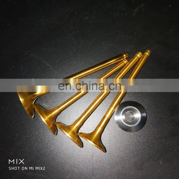 Sport 4-stroke Super Pocket Bike Accessary Engine Valve for Tekken 250 cc Eec for Bolivia Market photo-6