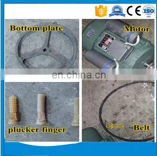 Poultry Slaughtering Production Line/chicken Plucking Machine photo-6