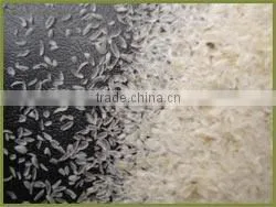 Plantago Extract