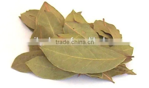 Bay Leaf