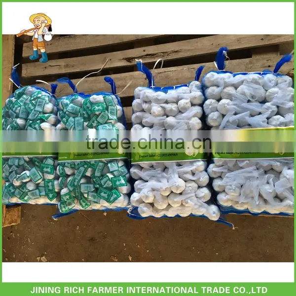 Spices Wholesale Chinese Fresh Garlic