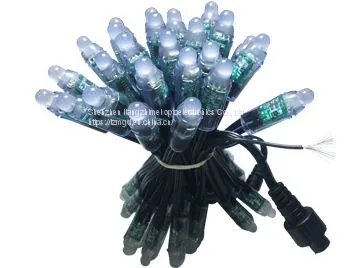 Indoor Decoration, Outdoor Lighting, Advertising Lamp String 12vws2811 Full Color Exposure Lamp, American Full Color Exposure Lamp photo-2