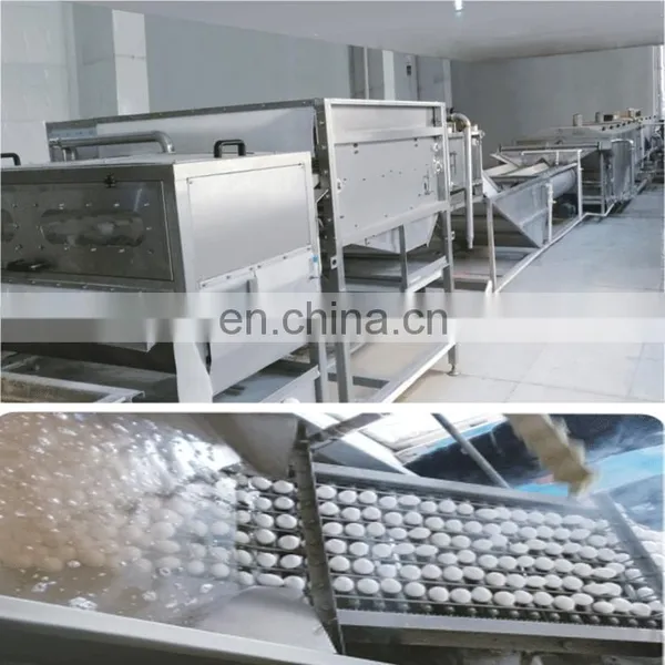 Shanghai Genyond Pasteurized Egg Liquid Processing Machine photo-5