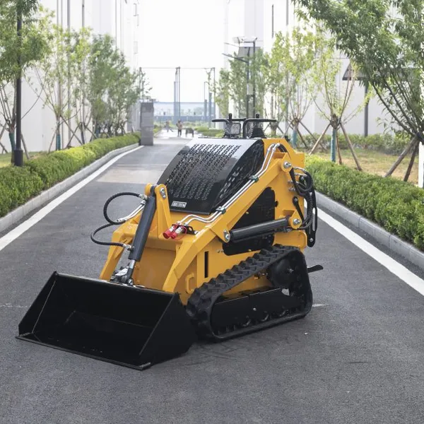 Production of Small Skid-steer Loaders, Multi-functional Engineering Vehicles, Skid Loaders, Wheel Loaders and Professional Lawn Mowers photo-5