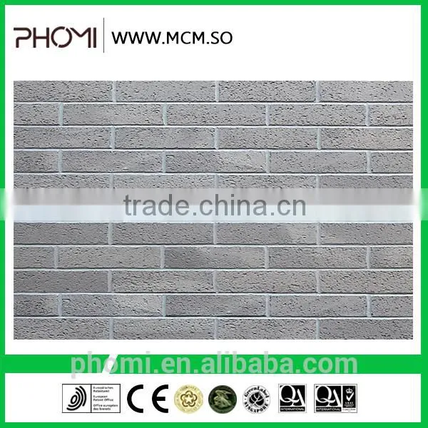 Cost Effective Multifunction Flexible Light Weight Thin Suitable for High-rises 240*60 Eco Brick photo-5