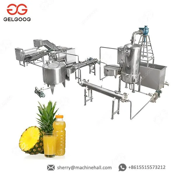 Pineapple Processing Plant Pineapple Processing Machine Pineapple Juice Production Line photo-2