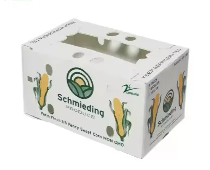 Waterproof Corrugated Plastic Produce Boxes Wholesaler From China photo-3