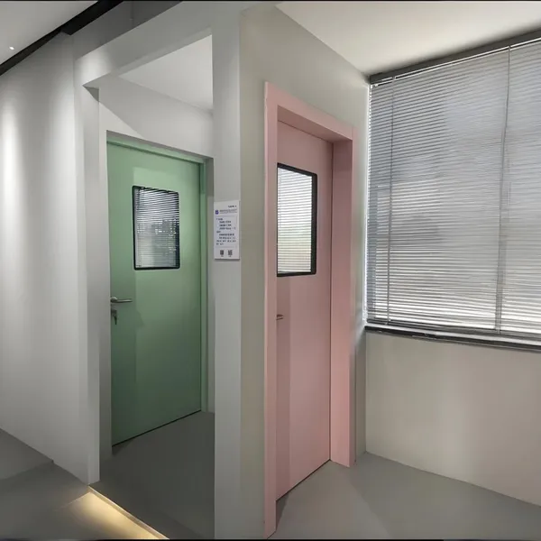 GMP Standard Cleanroom Swing Single Door Stainless Steel Hospital Doors Hermetic Medical Door photo-3