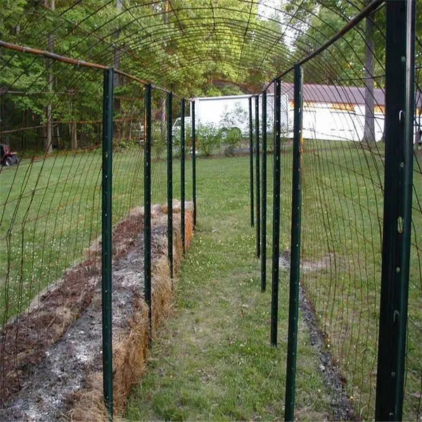 Powder Coated Black Green or Hot-DIP Galvanized Y Star Picket Fence Post Waterproof photo-4