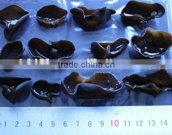 Dried Black Fungus photo-6