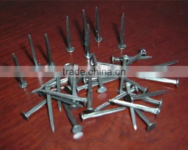 Blued Shoe Tack Nails photo-3