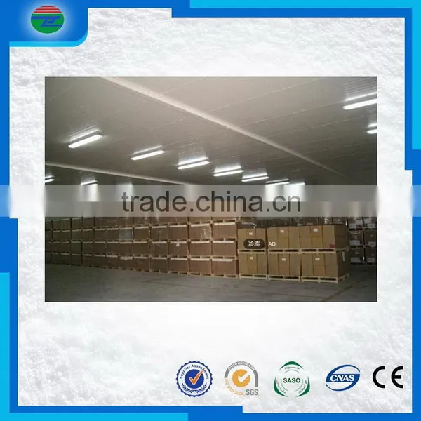 Direct Factory Price Best Sell Cold Storage/cold Room for Waxberry/grape photo-4