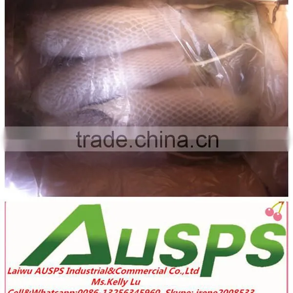 Chinese Fresh White Radish photo-4