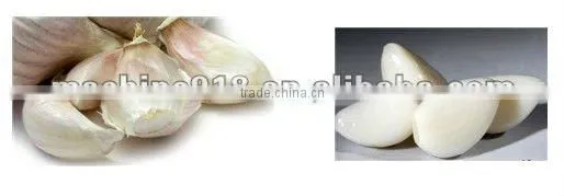 Garlic Skin Peeling Machine