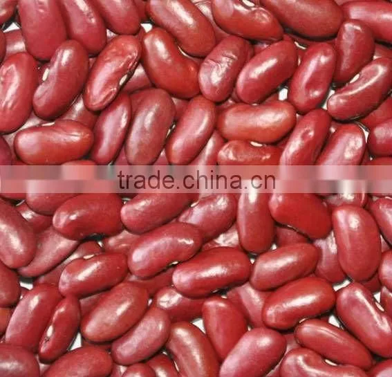 British Red Kidney Beans