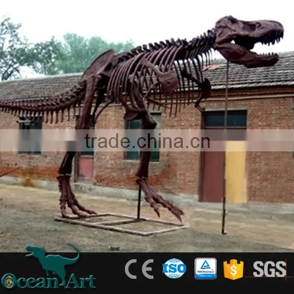 OAV3127 Dinosaur Skeleton Replicas for Exhibition photo-6