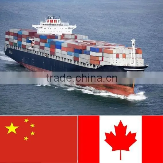 International Ocean Freight Ningbo to Toronto/canada photo-3