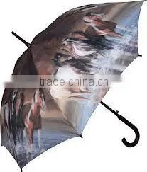23 Inch Automatic Craft Horse Wooden Shaft Umbrella photo-5