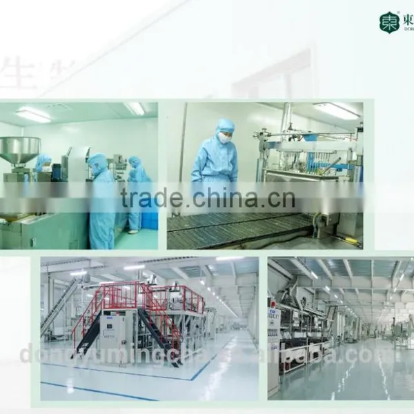 GMP Factory Supplys Green Tea Powder EGCG Antioxidant Products Instant Powder photo-2