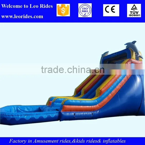 China Giant Inflatable Water Slide for Sale photo-5